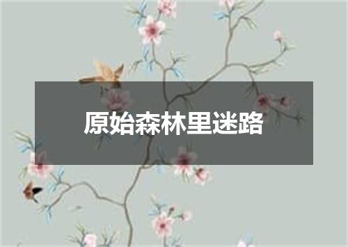 原始森林里迷路