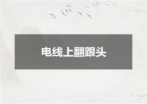 电线上翻跟头