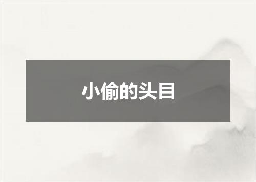 小偷的头目