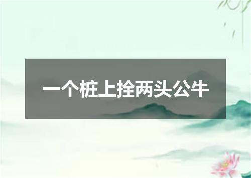 一个桩上拴两头公牛