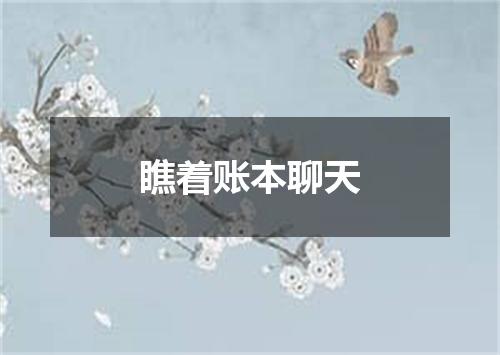 瞧着账本聊天