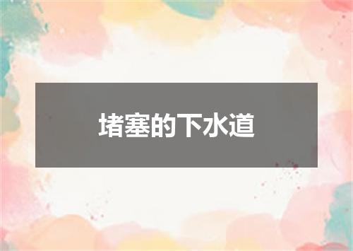 堵塞的下水道