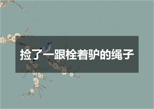 捡了一跟栓着驴的绳子