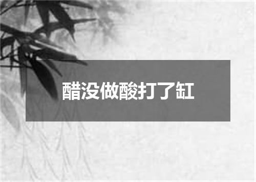 醋没做酸打了缸