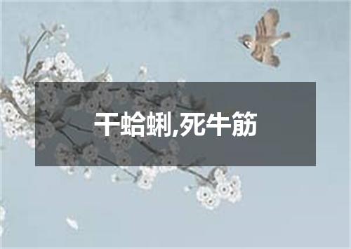 干蛤蜊,死牛筋