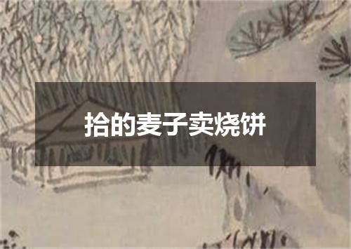 拾的麦子卖烧饼