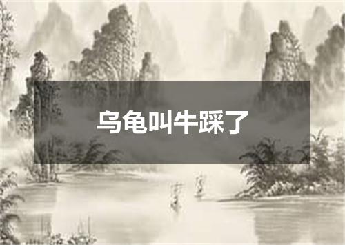 乌龟叫牛踩了