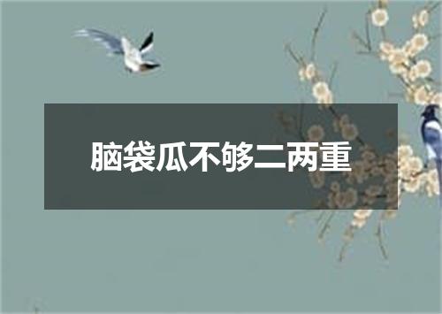 脑袋瓜不够二两重