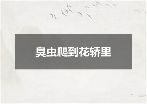 臭虫爬到花轿里