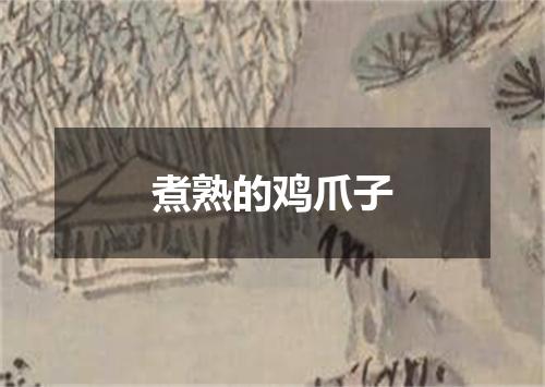 煮熟的鸡爪子