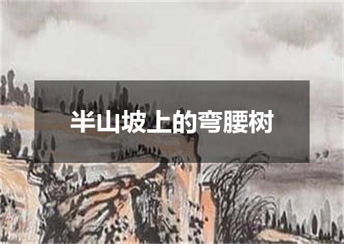 半山坡上的弯腰树