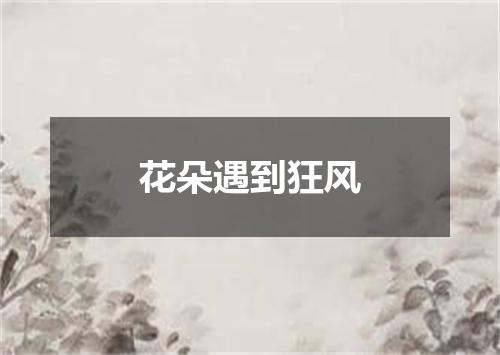 花朵遇到狂风