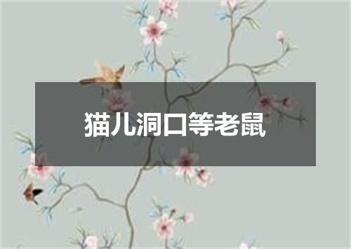 猫儿洞口等老鼠