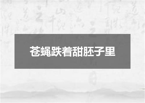 苍蝇跌着甜胚子里