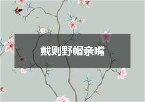 戴则野帽亲嘴