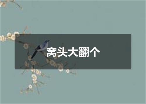 窝头大翻个