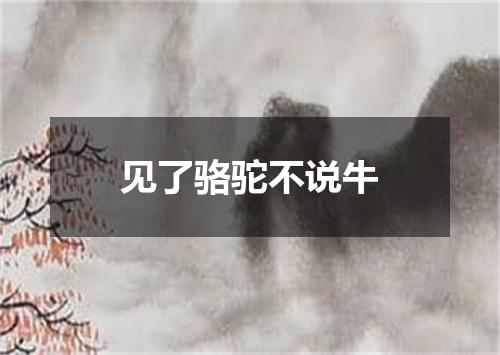 见了骆驼不说牛
