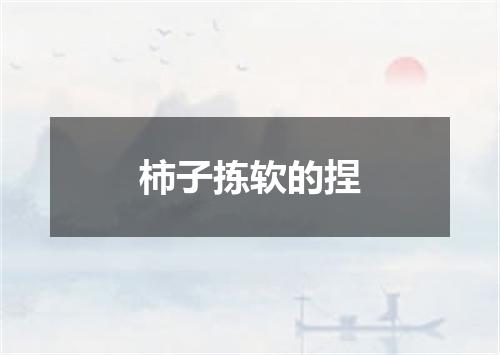 柿子拣软的捏