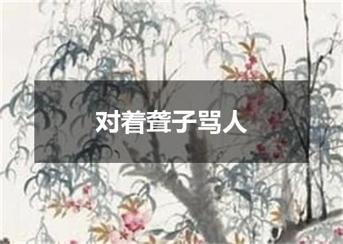 对着聋子骂人