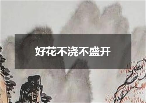 好花不浇不盛开