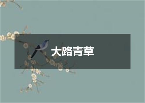 大路青草
