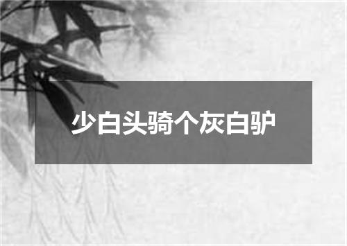 少白头骑个灰白驴