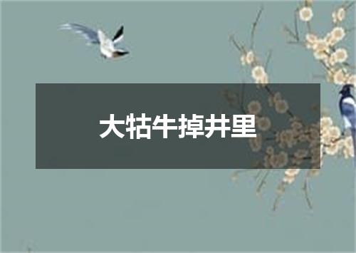 大牯牛掉井里