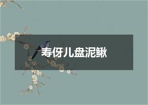 寿伢儿盘泥鳅