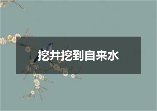 挖井挖到自来水