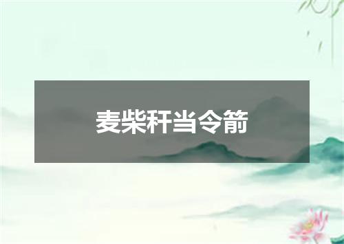 麦柴秆当令箭