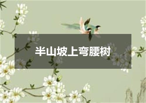 半山坡上弯腰树