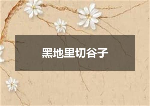 黑地里切谷子