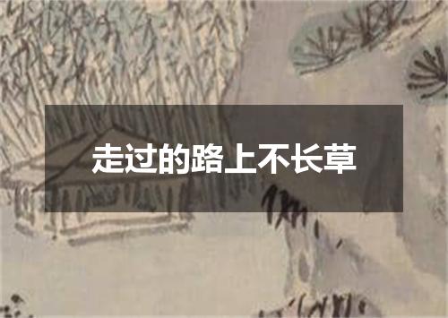 走过的路上不长草