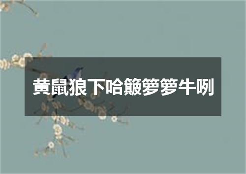 黄鼠狼下哈簸箩箩牛咧