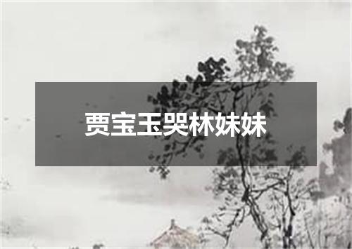 贾宝玉哭林妹妹