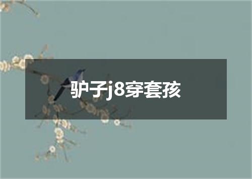 驴子j8穿套孩