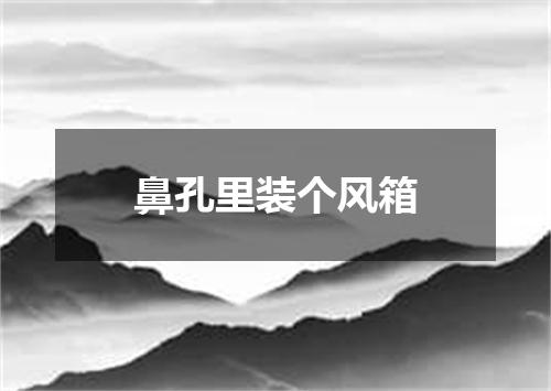 鼻孔里装个风箱