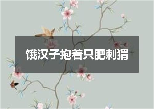 饿汉子抱着只肥刺猬
