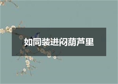 如同装进闷葫芦里
