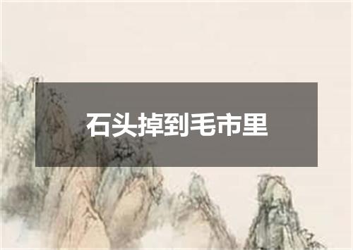石头掉到毛市里