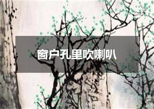 窗户孔里吹喇叭