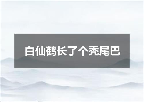 白仙鹤长了个秃尾巴