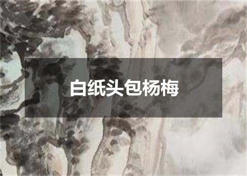 白纸头包杨梅