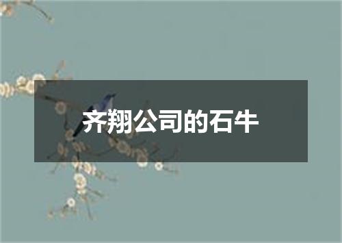 齐翔公司的石牛