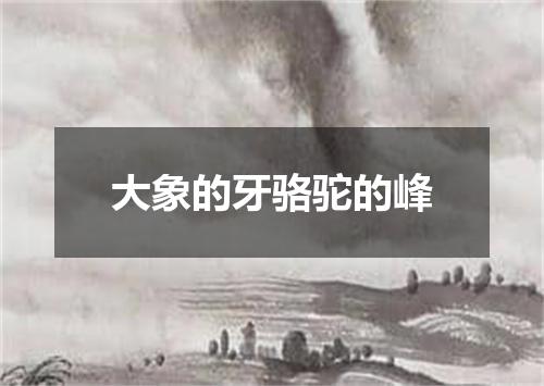 大象的牙骆驼的峰