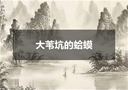 大苇坑的蛤蟆