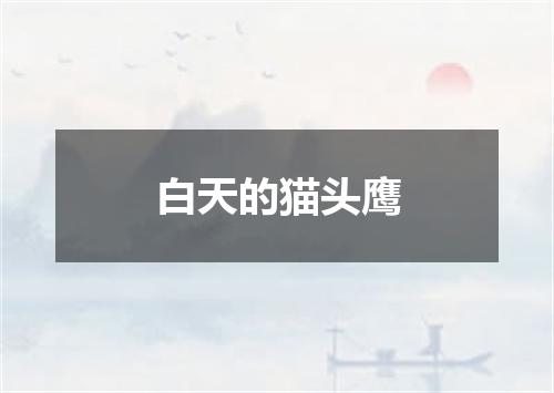 白天的猫头鹰