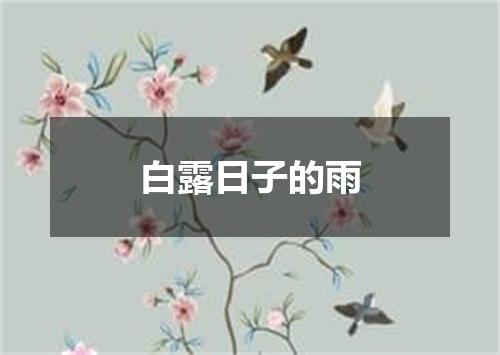白露日子的雨