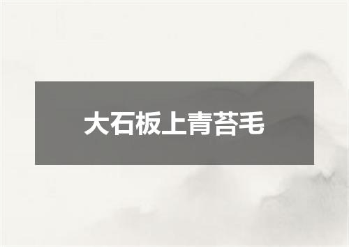 大石板上青苔毛