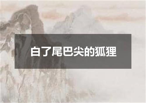 白了尾巴尖的狐狸